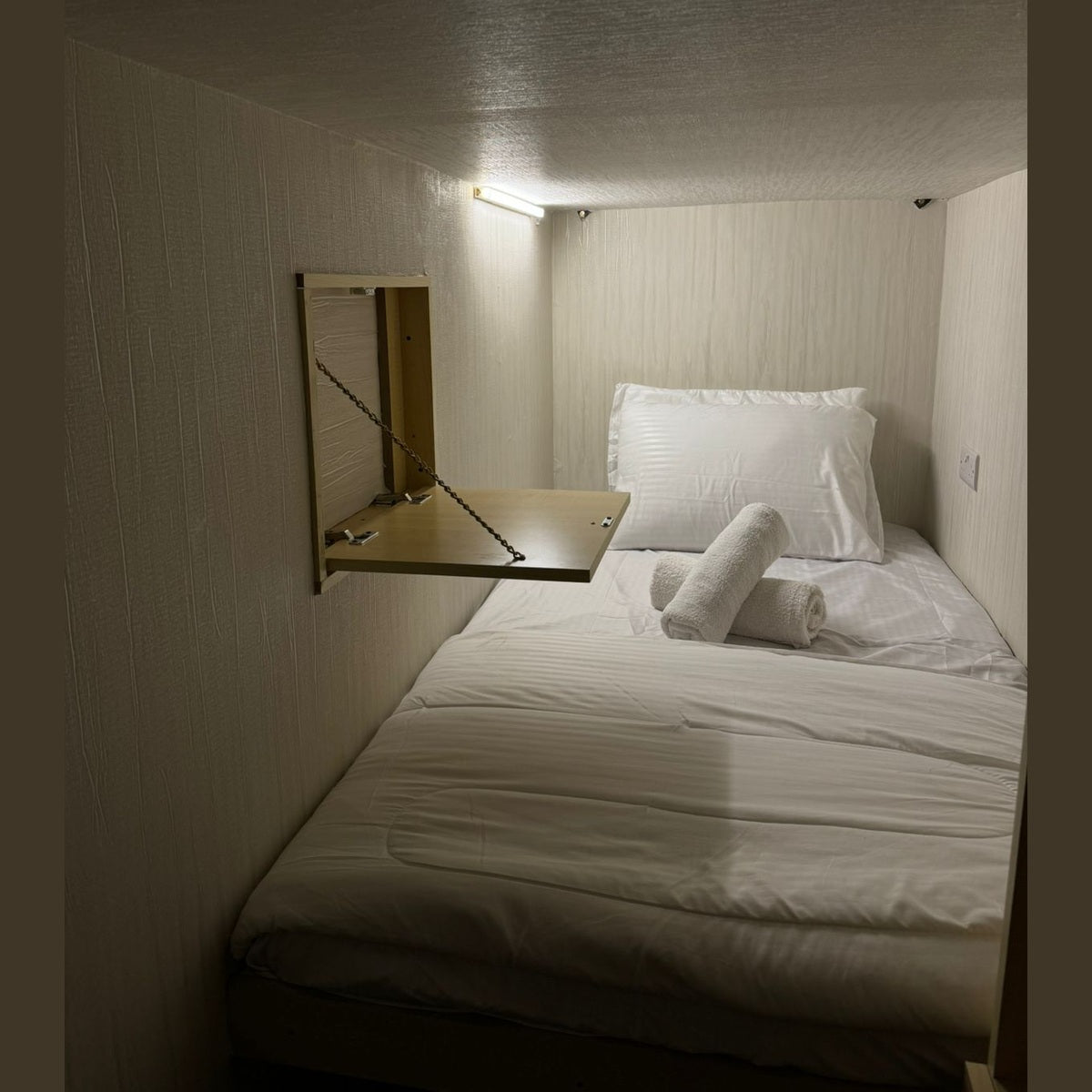 1 BR Apartment |Capsule Room 513 (Down)